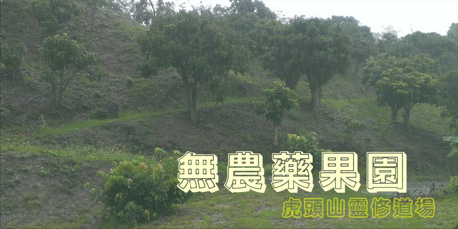 卜卦算命/風水堪輿#超神準占卜....為您排憂解感........